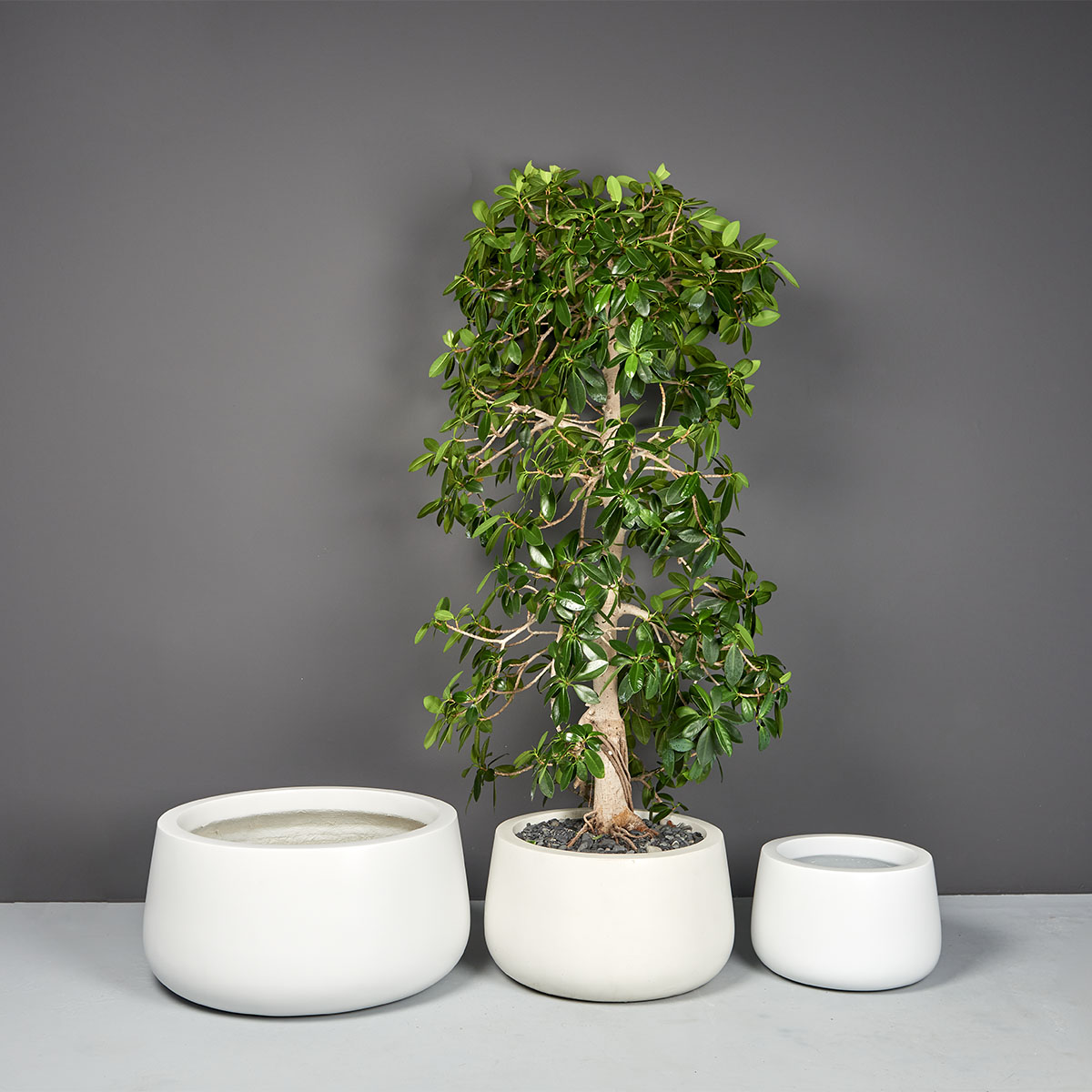 Short Hayden Tapered Round Planter - Ảnh 5