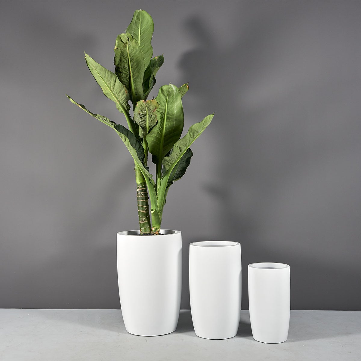Lisbon Tall Round Tapered Planter - Ảnh 6