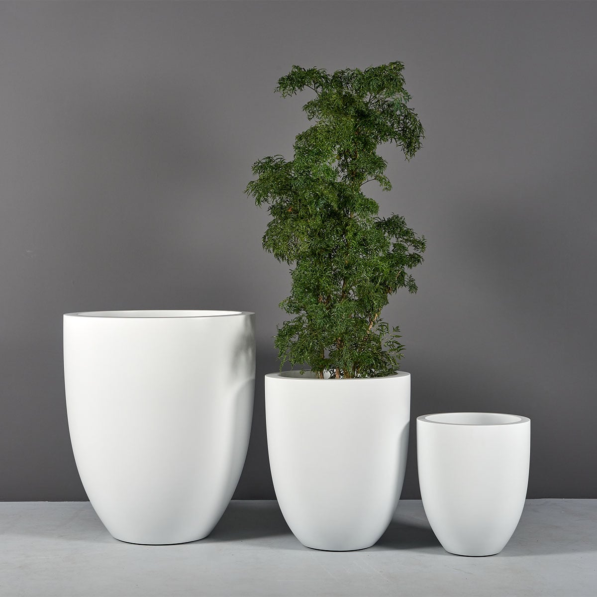 Valencia Tall Round Tapered Planter - Ảnh 6