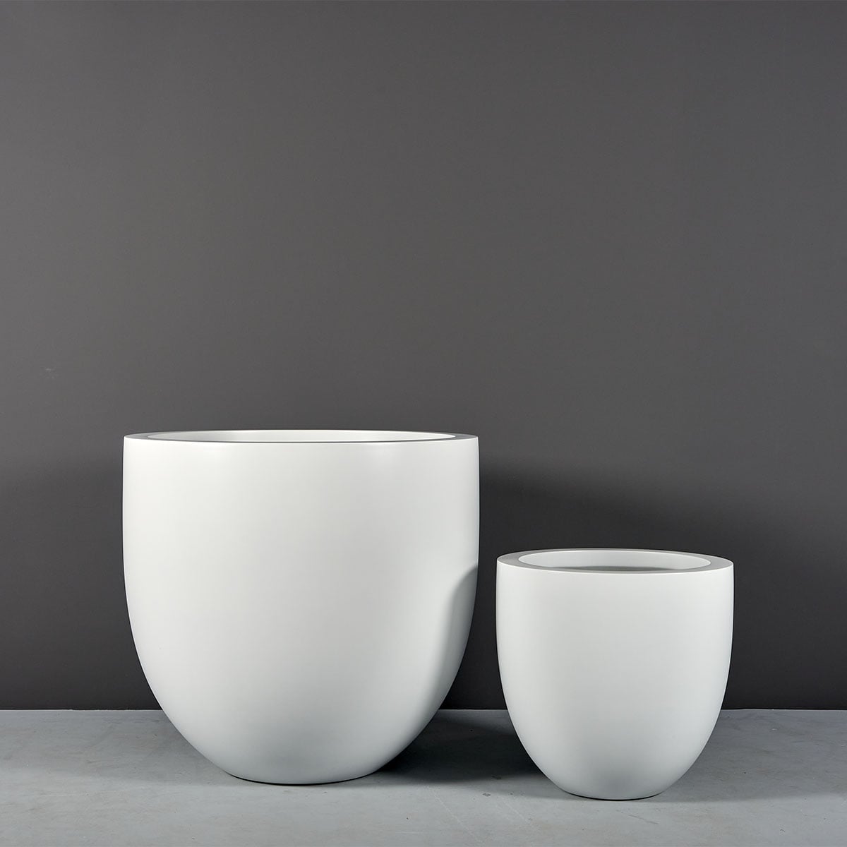 Alzira Bowl Planter - Ảnh 4