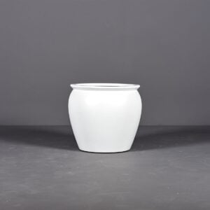 Shanghai Fishbowl Planter
