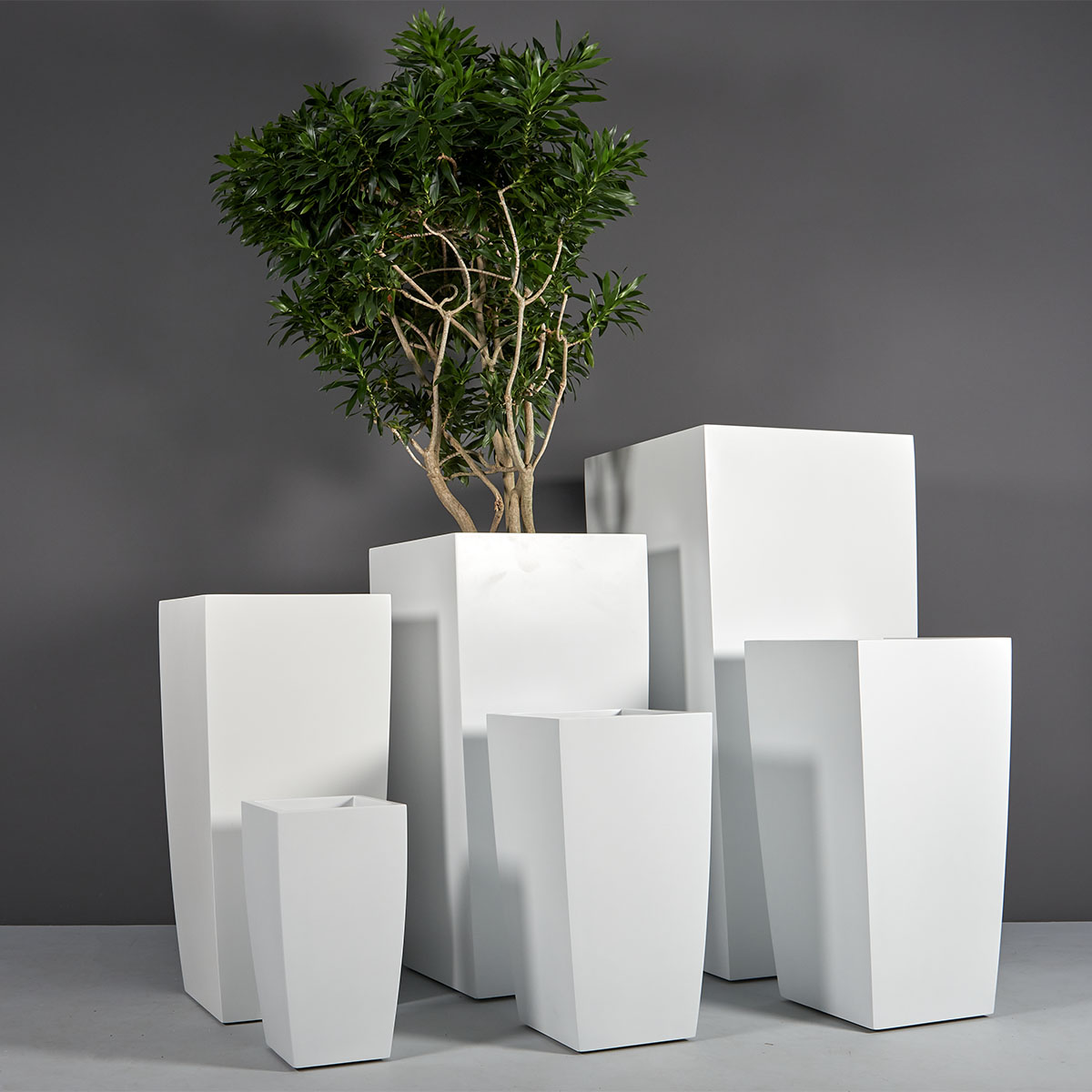 Toulan Modern Tall Tapered Square Planter - Ảnh 4