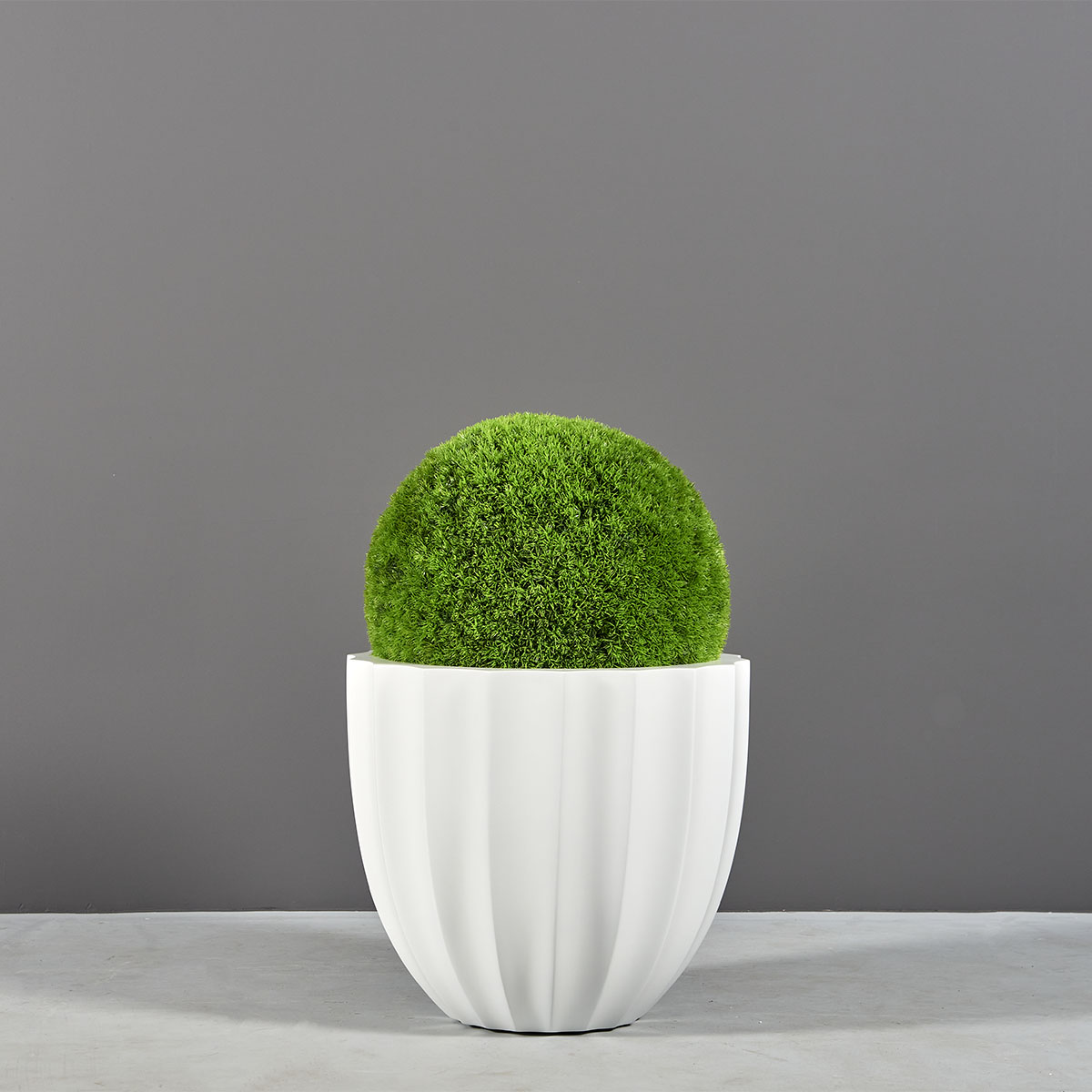 Santa Barbara Low Fluted Round Planter - Ảnh 2