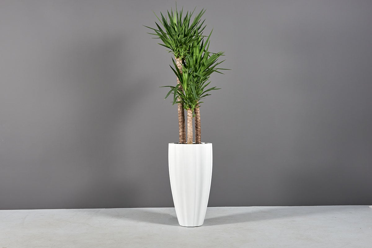 San Jose Tall Fluted Round Planter - Ảnh 2