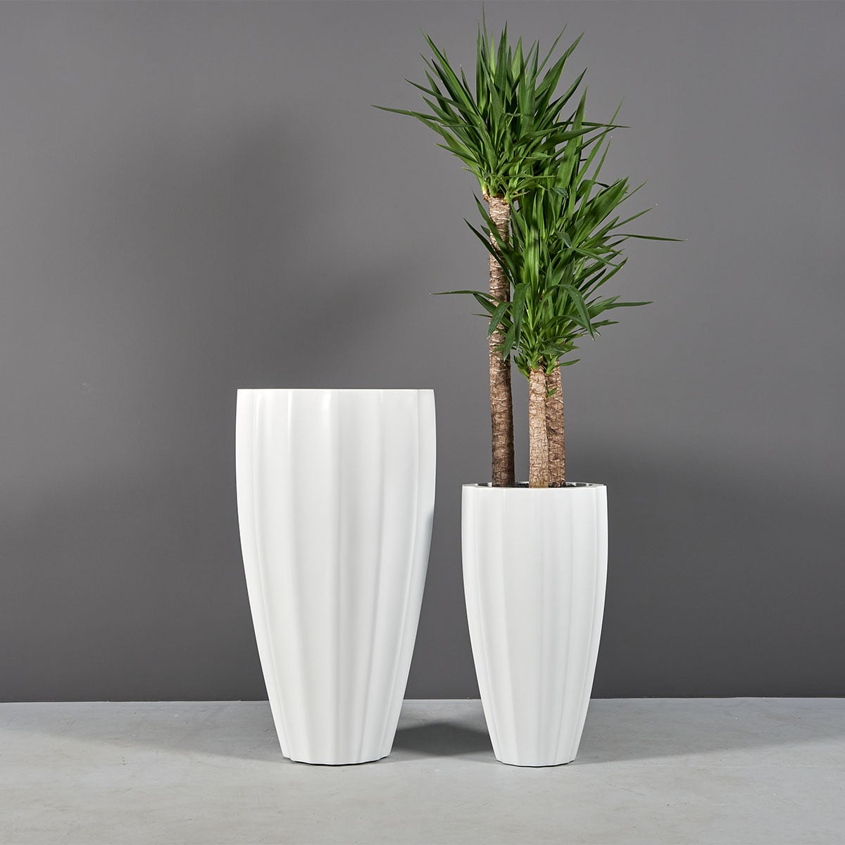 San Jose Tall Fluted Round Planter - Ảnh 5