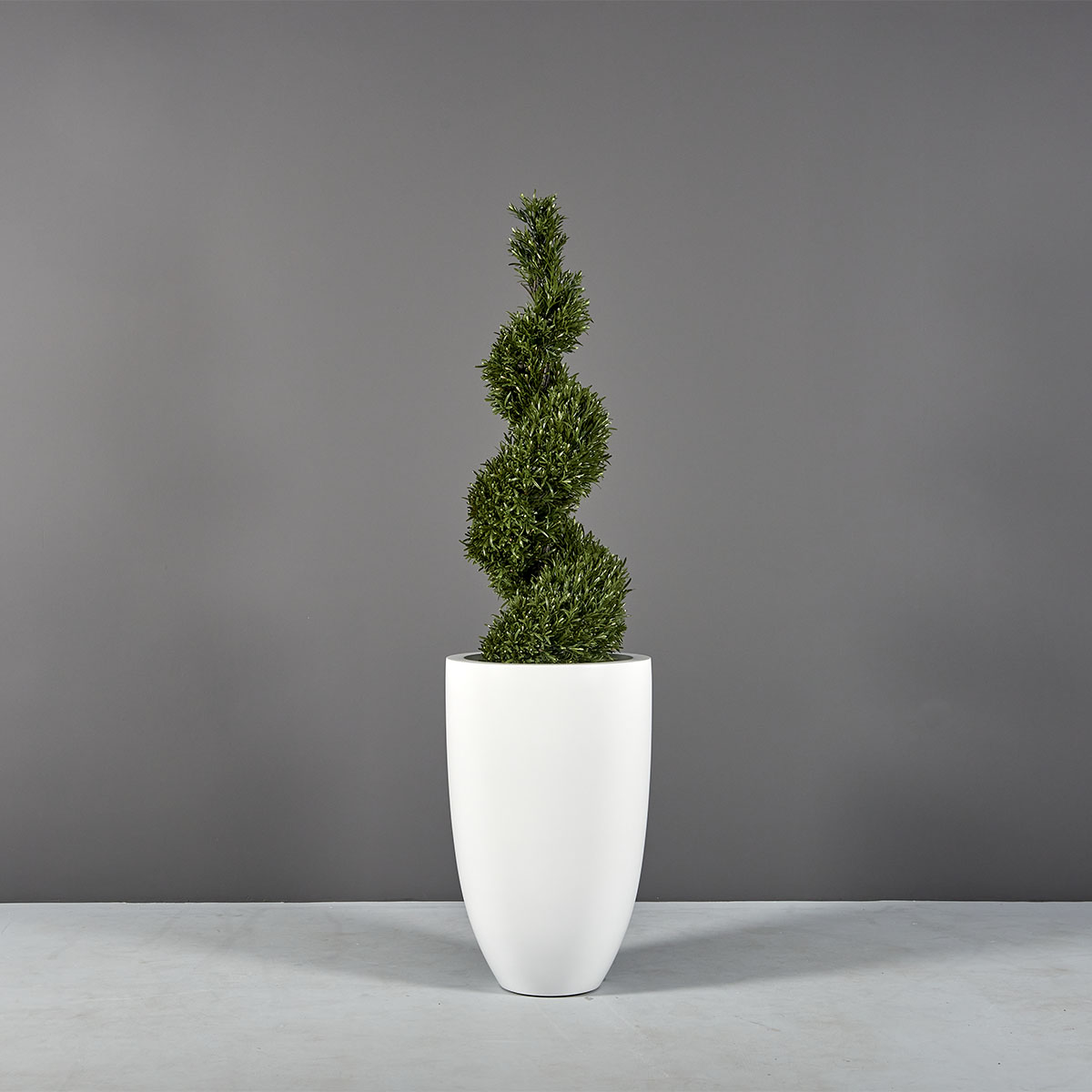 Brannan Tapered Round Planter - Ảnh 2